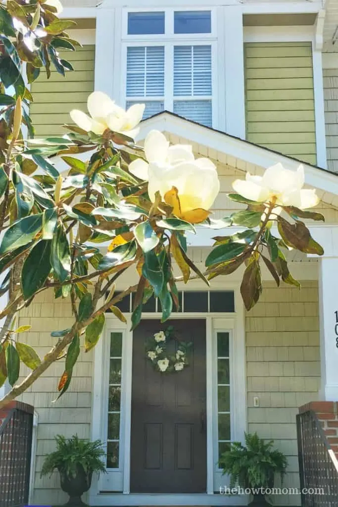 Easy Magnolia Wreath with Magnolia Tree