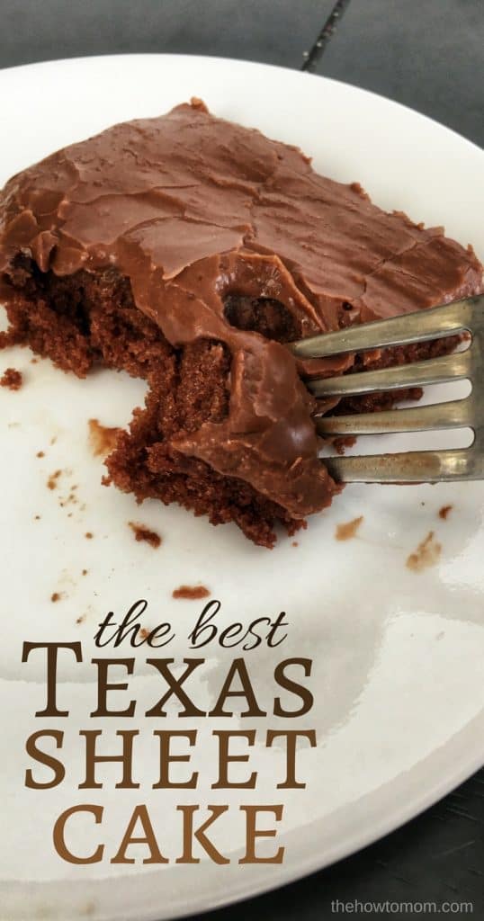 The BEST Texas Sheet Cake - Fudgey and Delicious! | The How To Mom