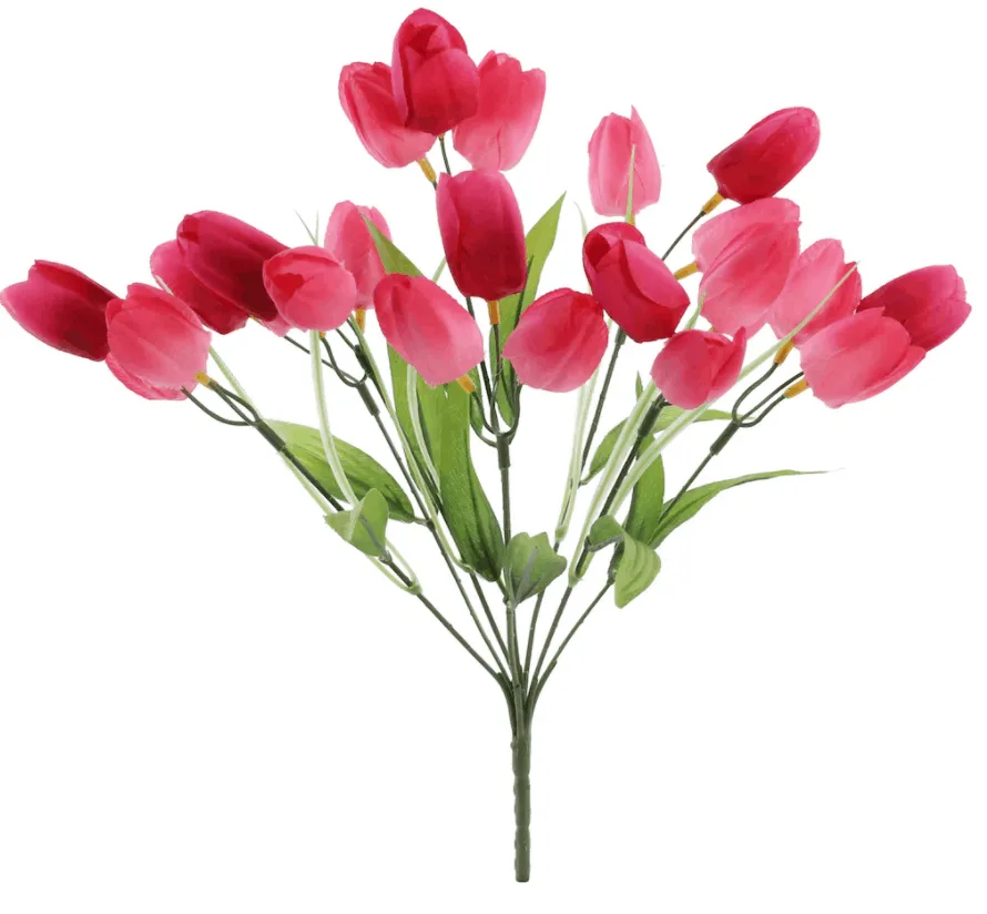 Hot Pink Tulip Bush by Ashland�