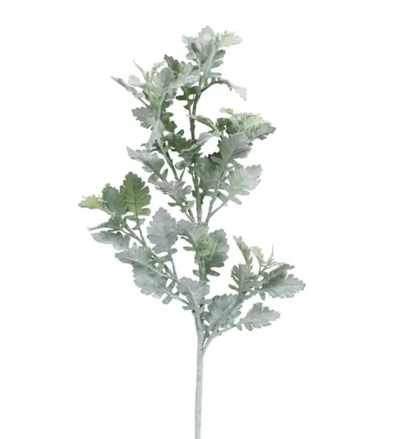 Frosted Dusty Miller Spray Stem by Ashland�