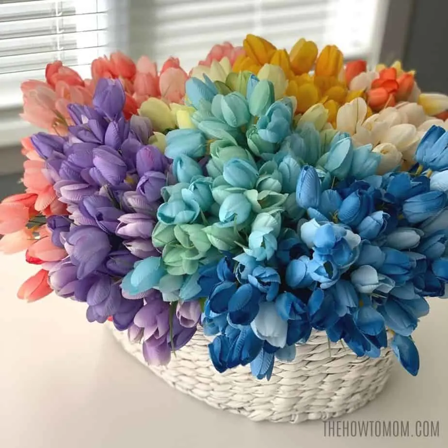rainbow mini tulips