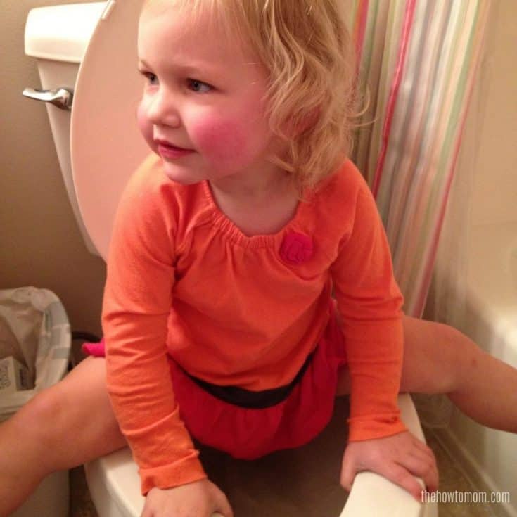Potty Training How to Get it Done Quicker with Less Mess The How To Mom