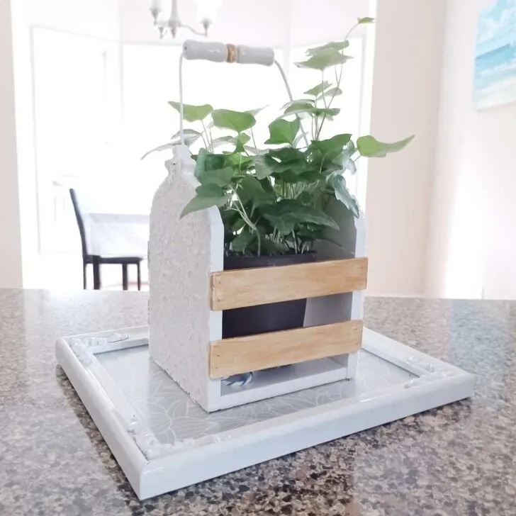 DIY plant holder craft project