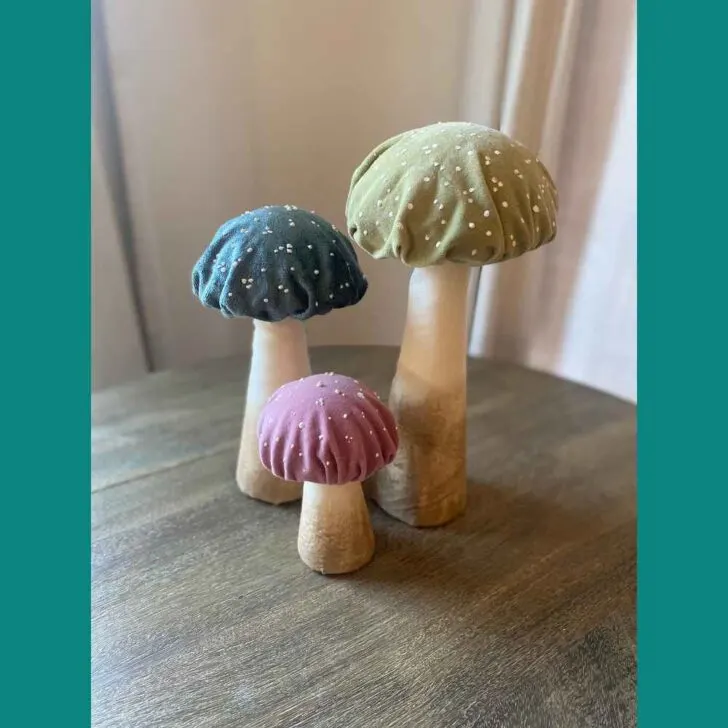 DIY Mushroom Craft (Main Image)